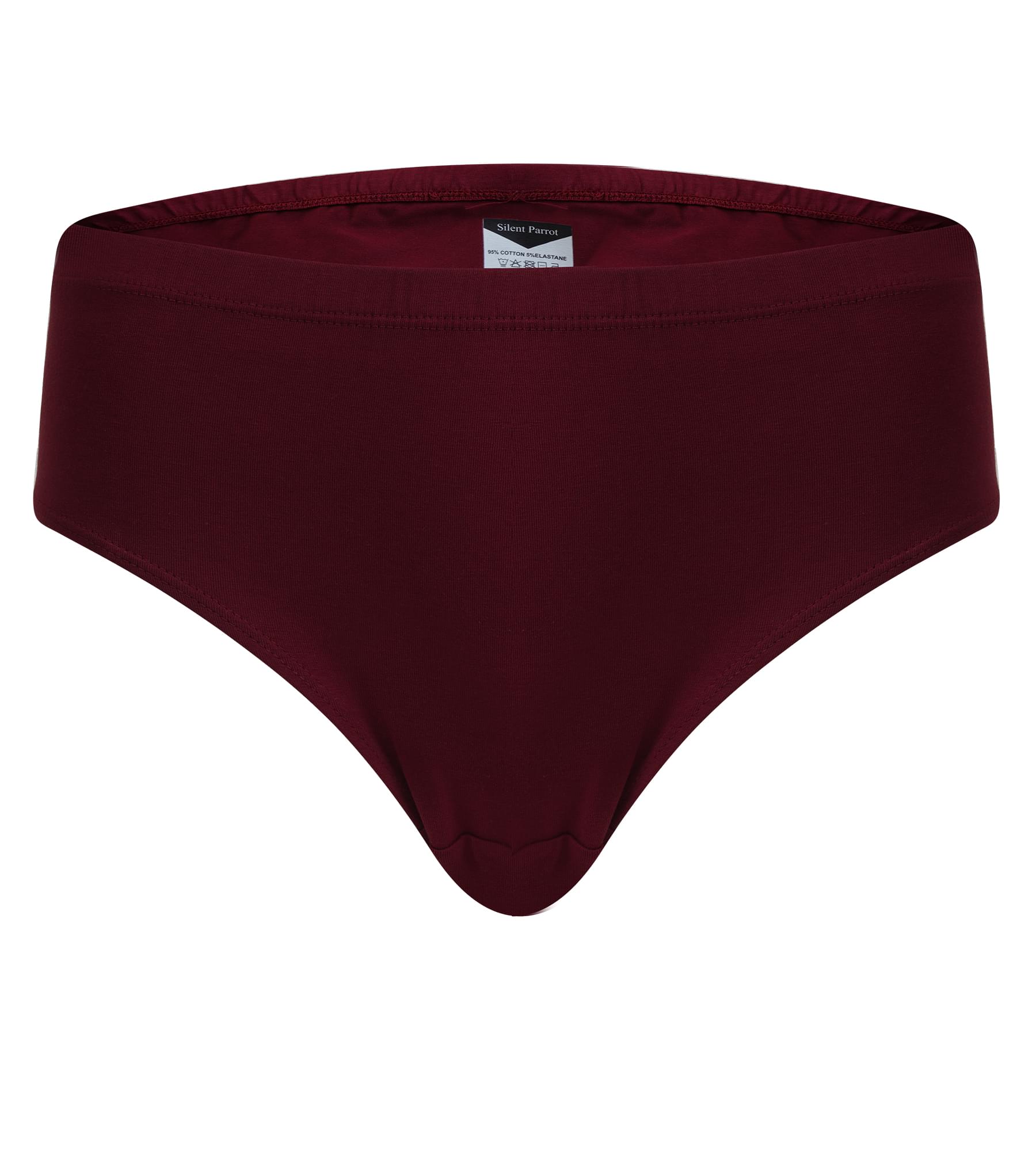 95% Cotton & 5% Elastane Hipster (3 pcs) - Image 2